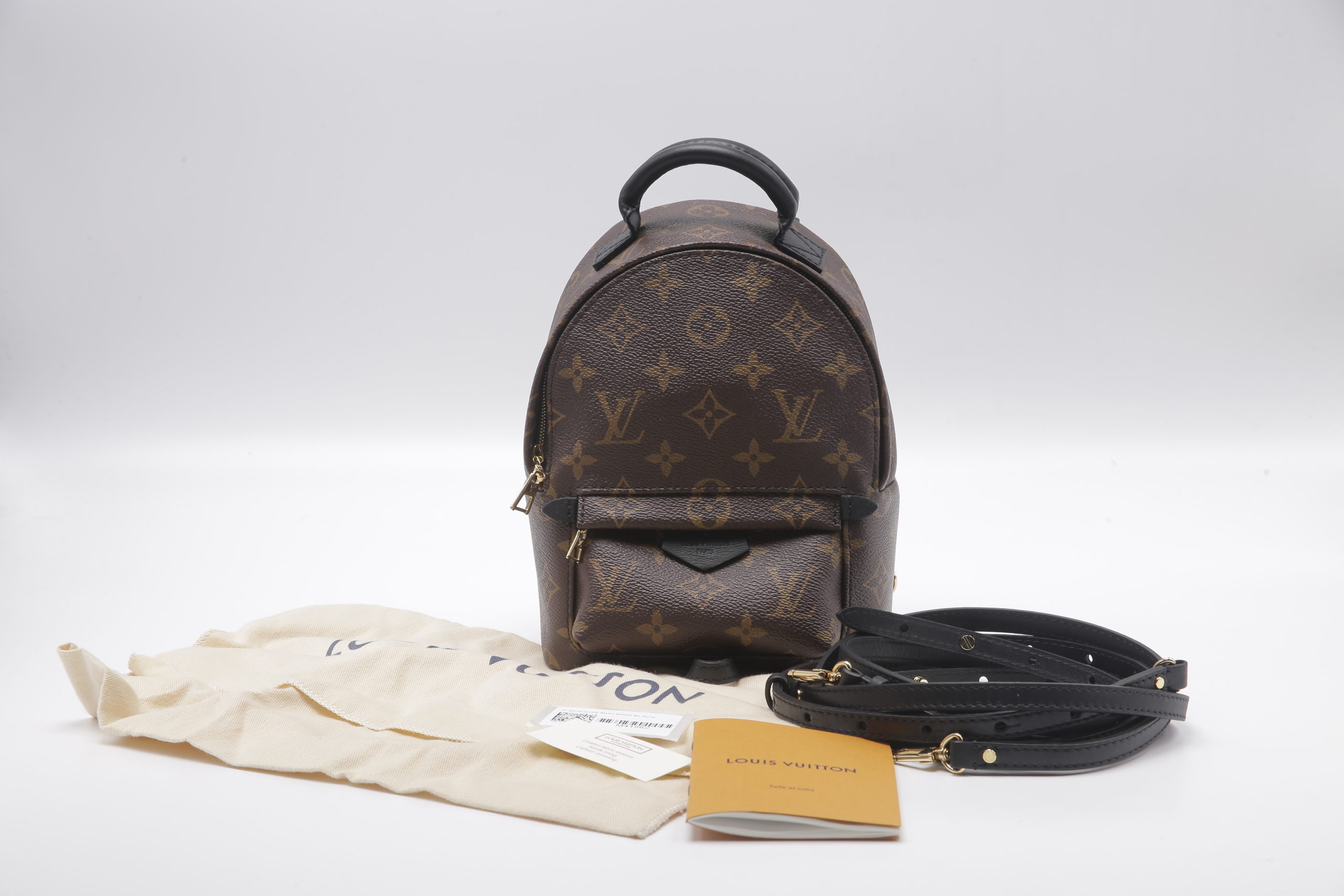 Louis Vuitton Palm Springs Mini Bag Monogram - Selectionne PH