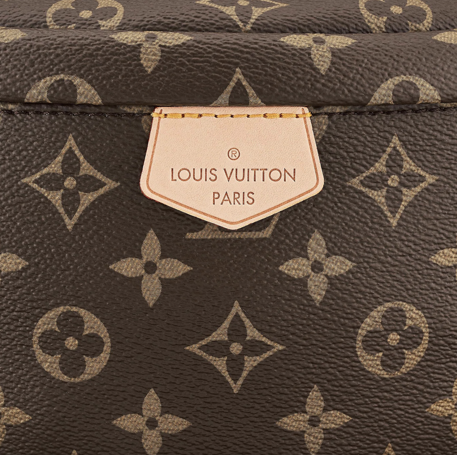 Louis Vuitton Bumbag Dauphine - Selectionne PH