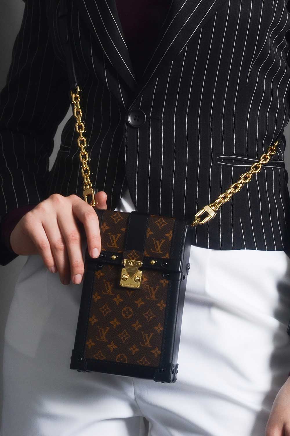 Louis Vuitton, Bags, Louis Vuitton Verticale Pochette Trunk Crossbody